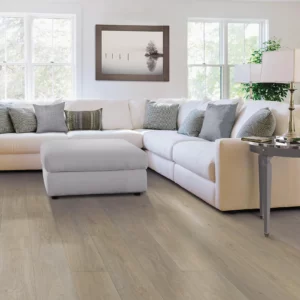 Living room flooring | Howard-Carpenter Floor Covering