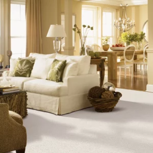 Carpet for living room | Howard-Carpenter Floor Covering
