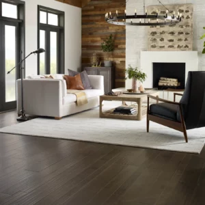 Living room flooring | Howard-Carpenter Floor Covering