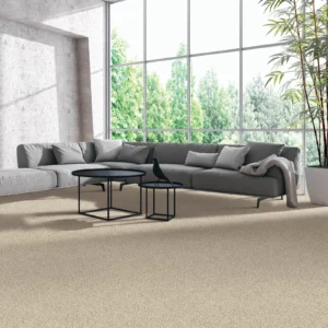Carpet flooring | Howard-Carpenter Floor Covering