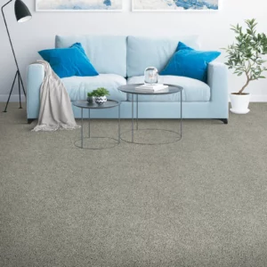 Soft carpet | Howard-Carpenter Floor Covering