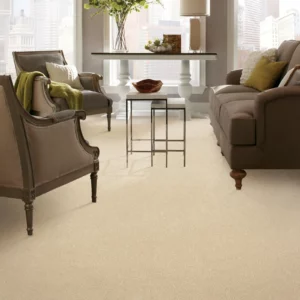 Carpet flooring | Howard-Carpenter Floor Covering