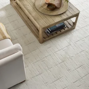 Carpet | Howard-Carpenter Floor Covering