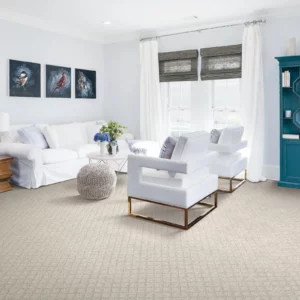 Living room carpet | Howard-Carpenter Floor Covering