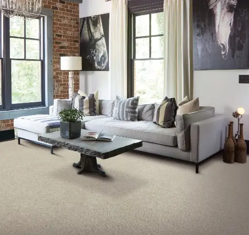 carpet-inspriation-hc Living room carpet | Howard-Carpenter Floor Covering
